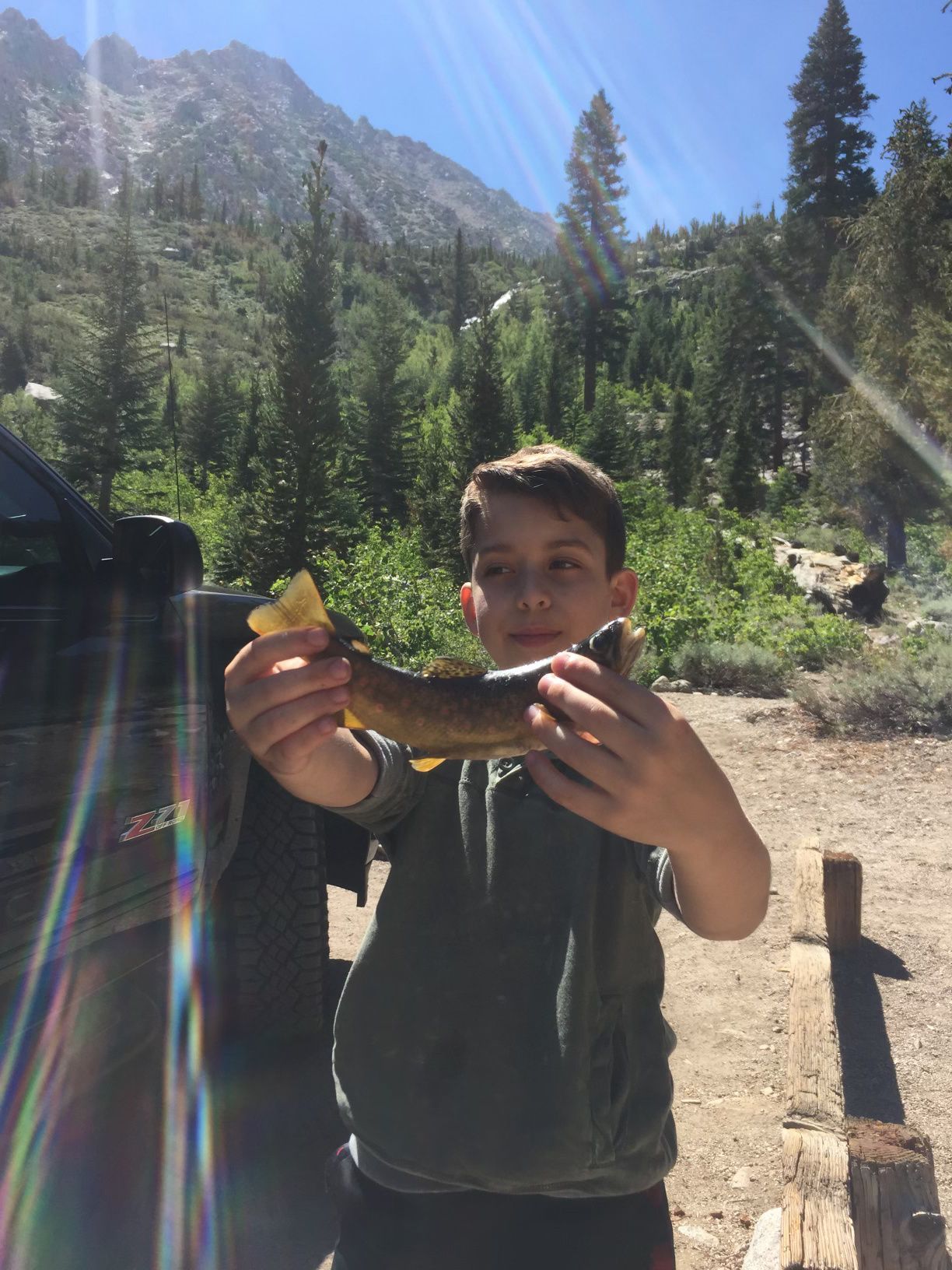 Person holding up a fish by a mountain lake in bright sunlight