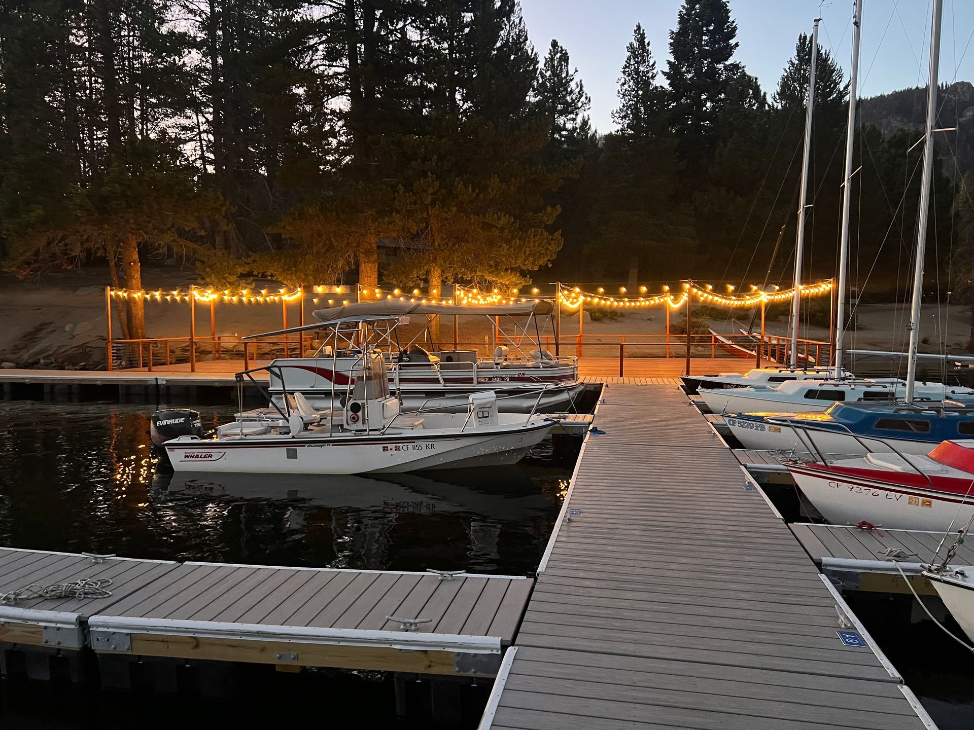 Docks with moored boats at dusk, lit by string lights beside a wooded shoreline