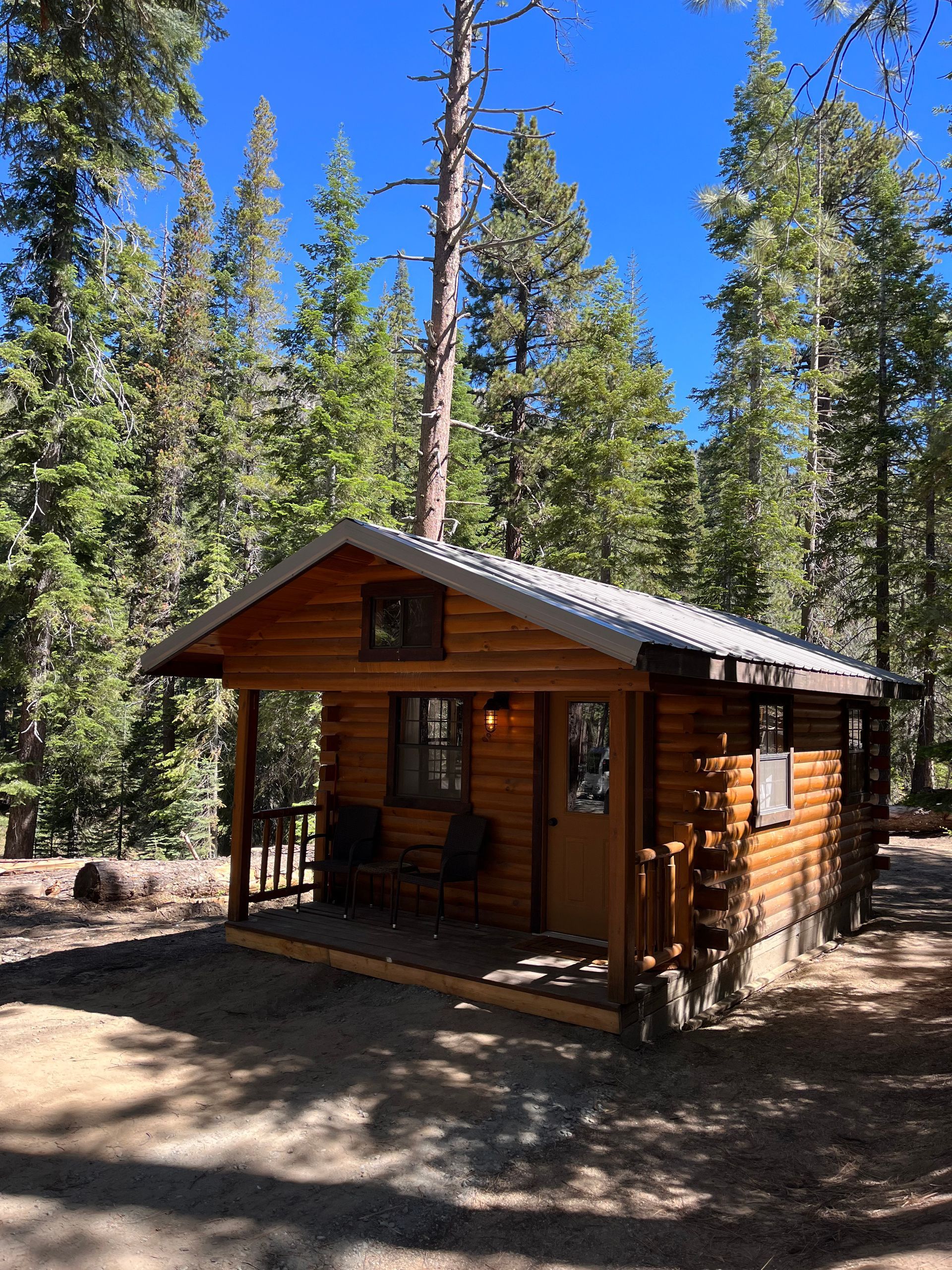 Small wooden cabin in a forest clearing under a bright blue sky