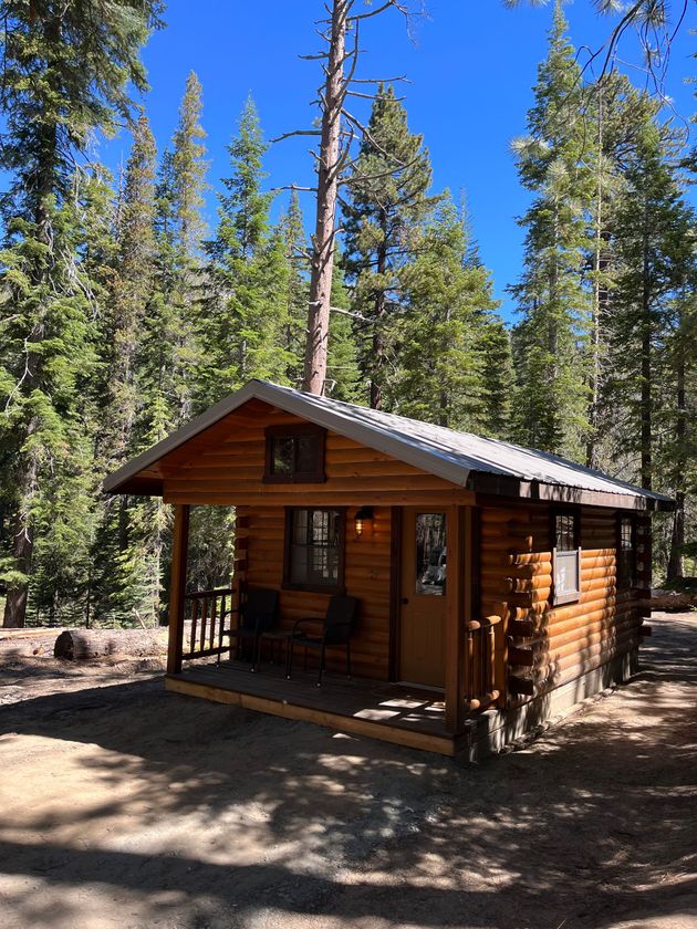 Small wooden cabin with a porch and metal roof in a forest setting.