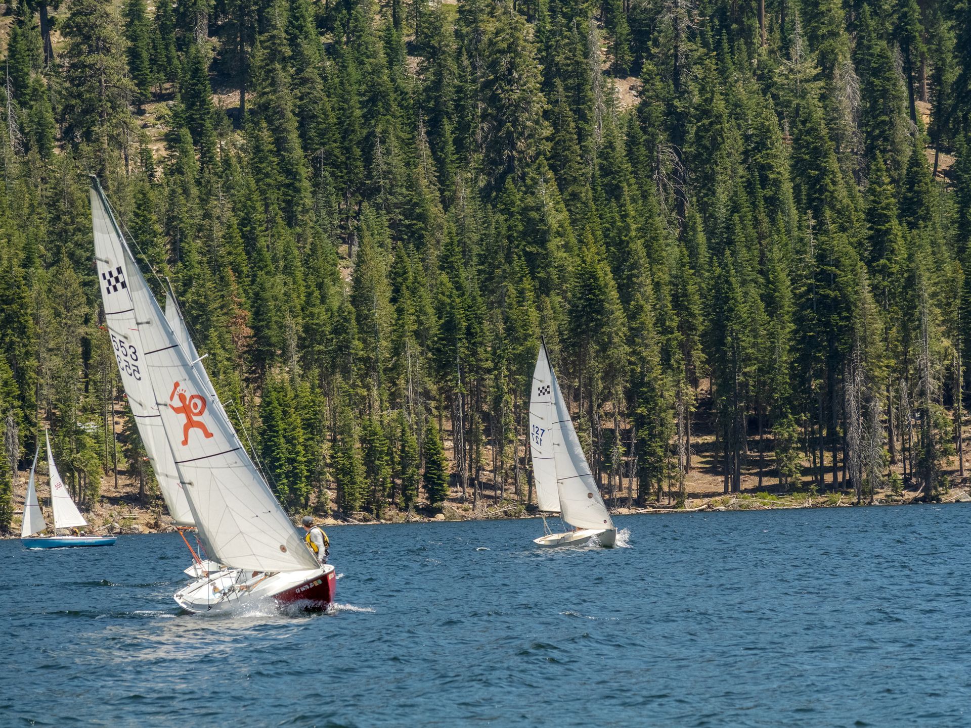 Two sailboats with white sails on a blue lake, backed by a pine forest