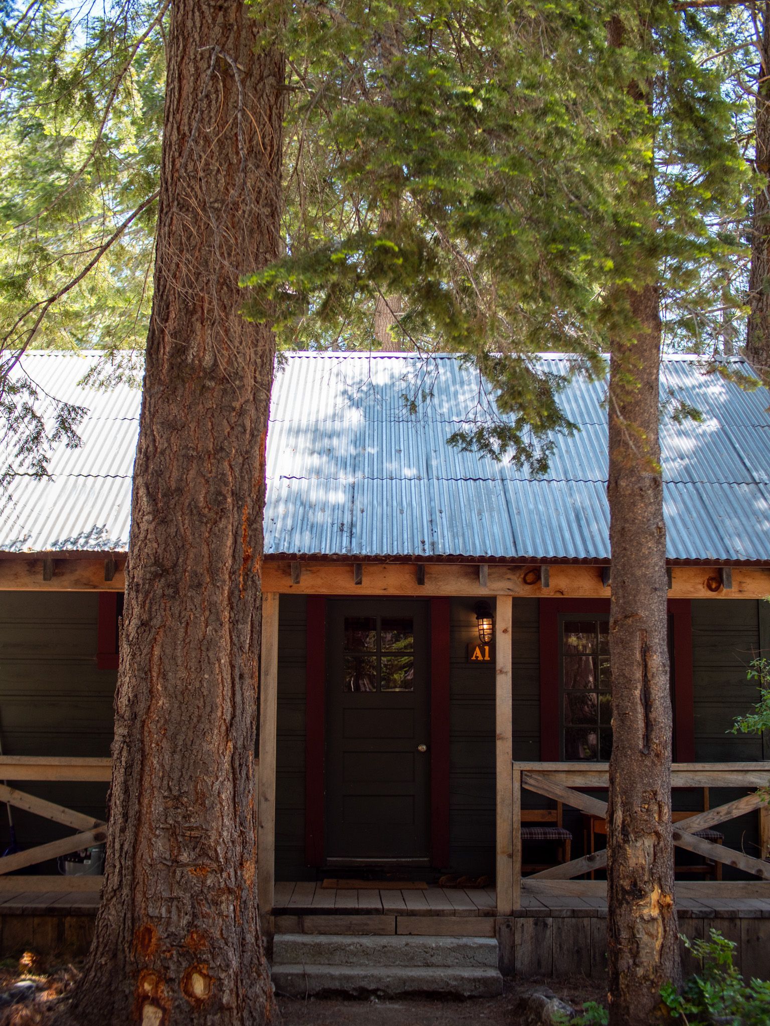 Rustic cabin with a metal roof and porch, framed by tall pine trees