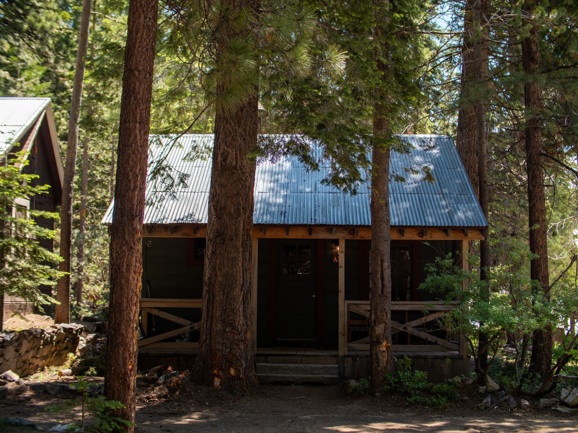 Rustic cabin in a wooded forest with a blue metal roof and tall pine trees in front