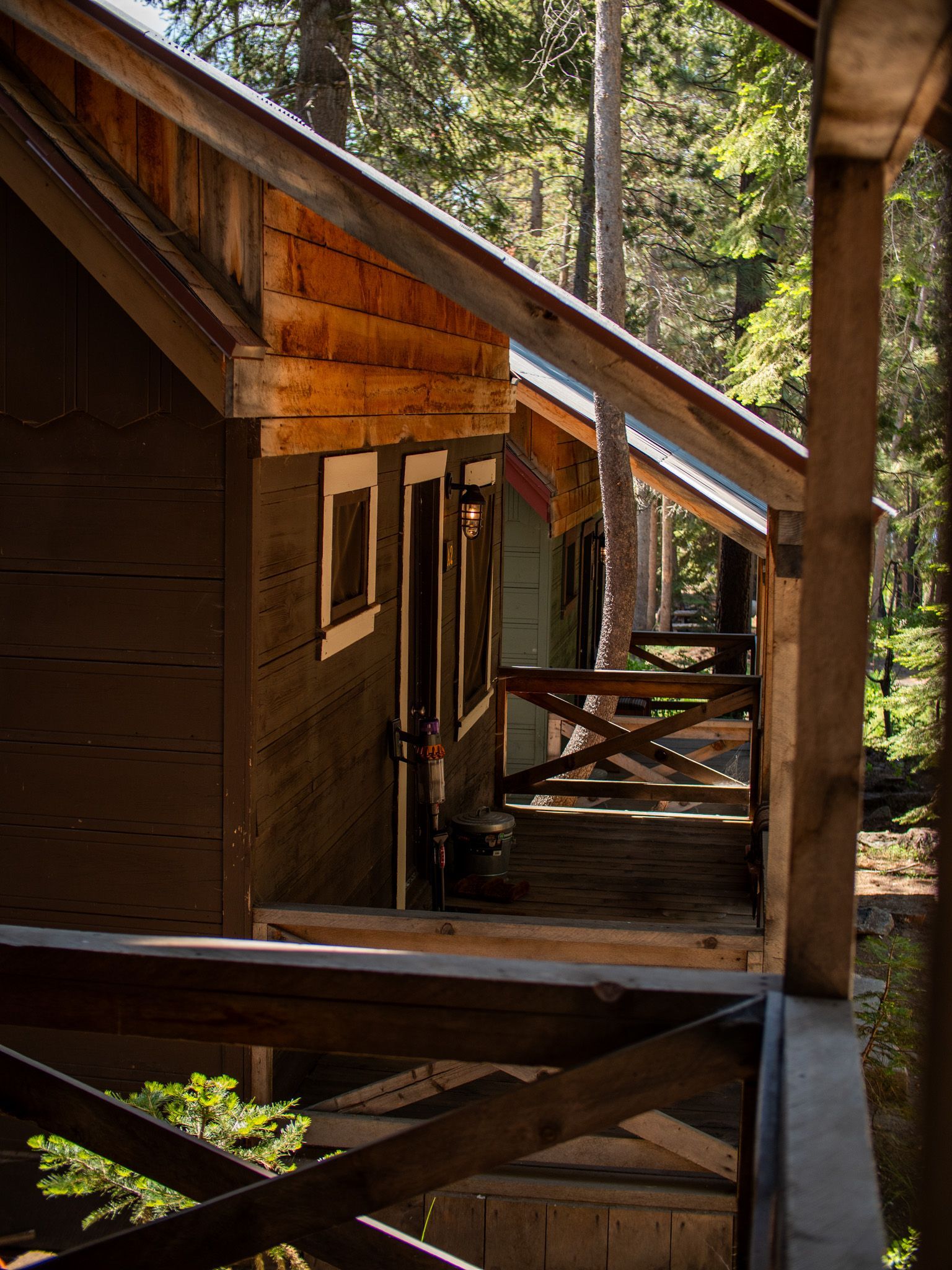 Wooden cabin porch and walkway in a forest, with sunlit trees and rustic railings