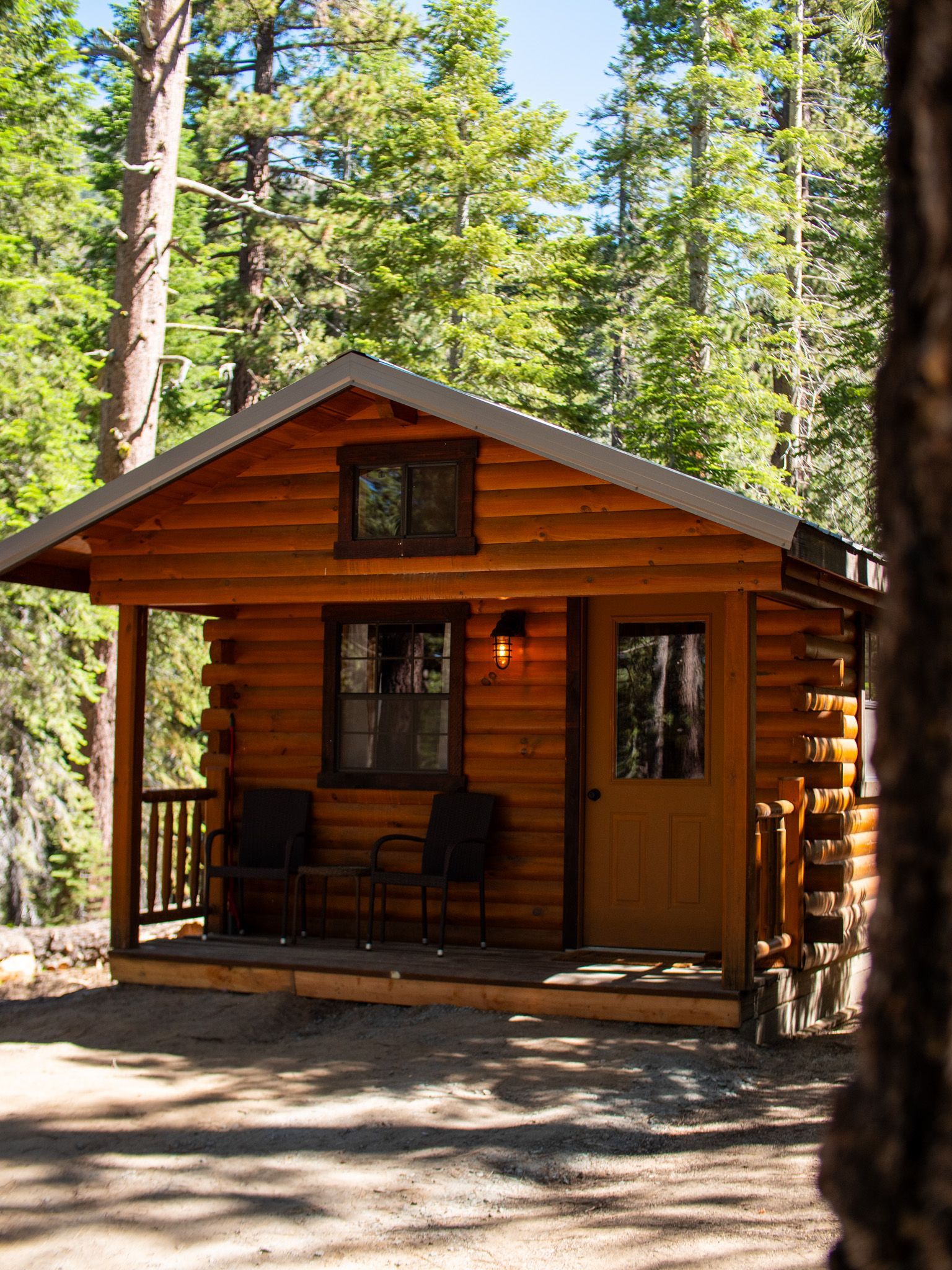 Small wooden cabin with porch and chairs in a pine forest.