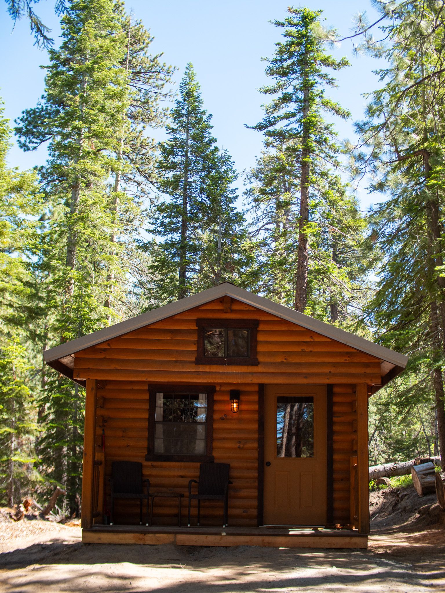 Small wooden cabin with a porch in a forest clearing, surrounded by tall pine trees.