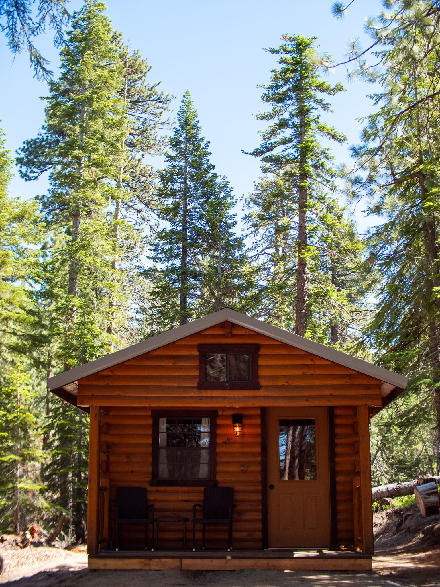 Small wooden cabin in a pine forest with a front porch and warm sunlight