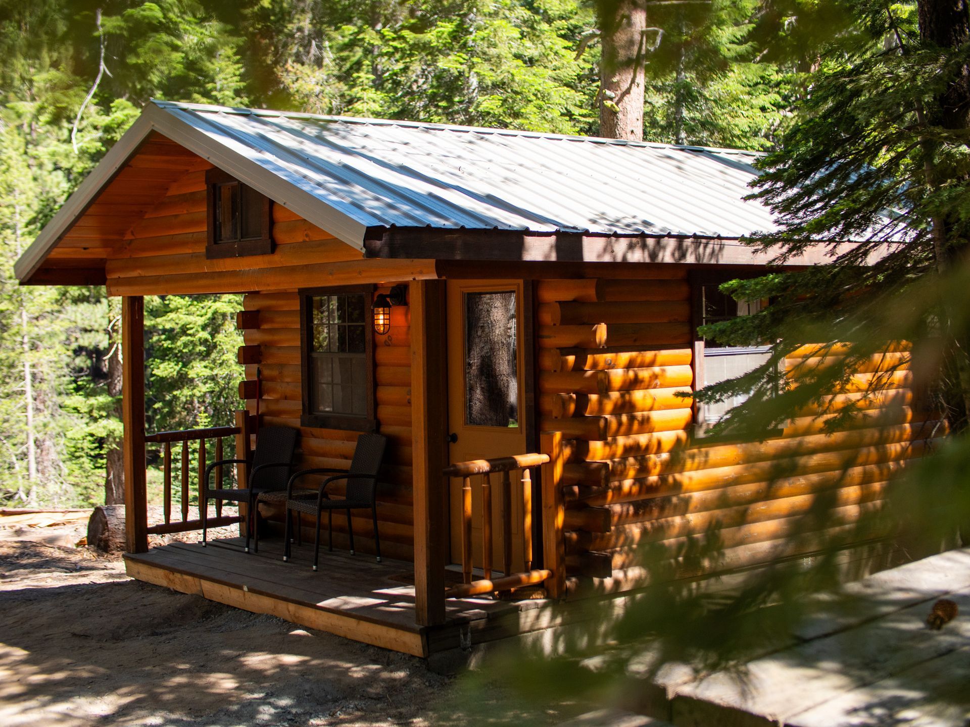 Small rustic log cabin with a porch in a sunny forest clearing