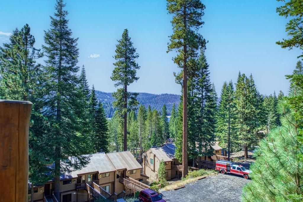 Mountain cabins among tall pine trees under a clear blue sky, with a red vehicle on a gravel road