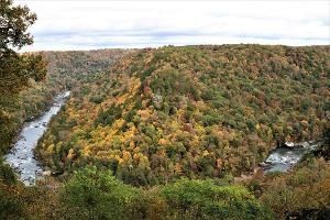 Autumn forested hill beside a winding river under a cloudy sky