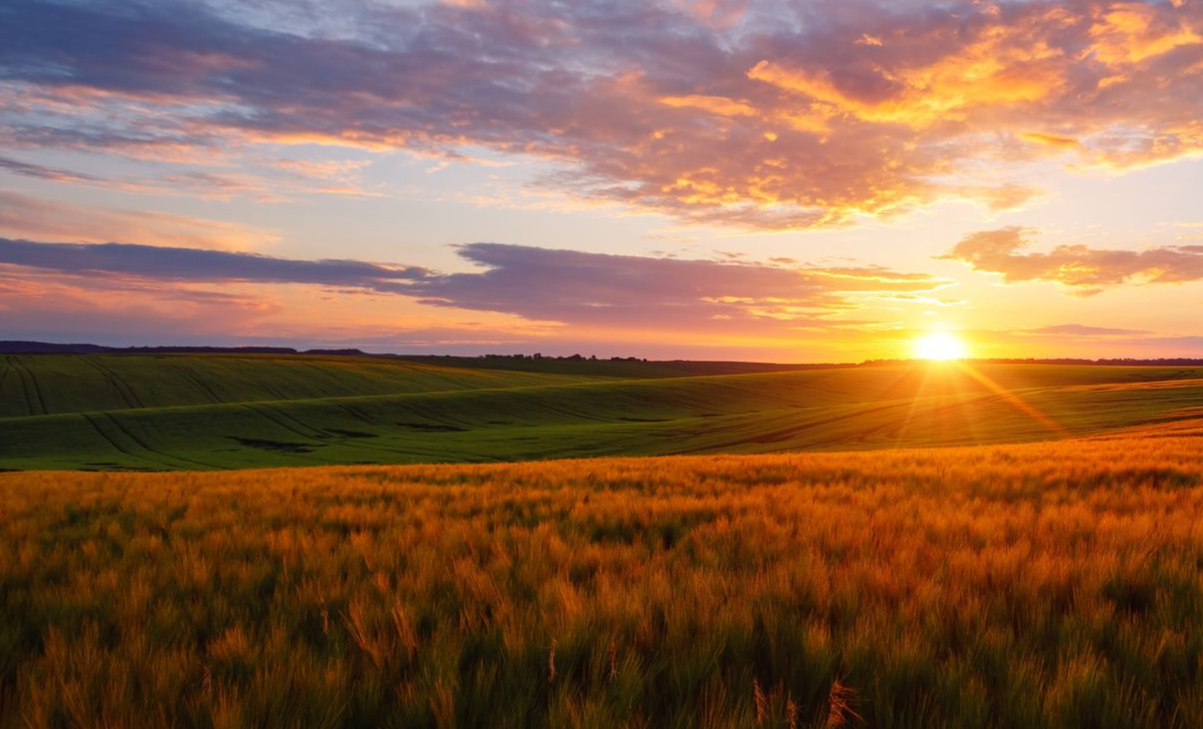 Sunset over a golden field with rolling green hills and a colorful sky