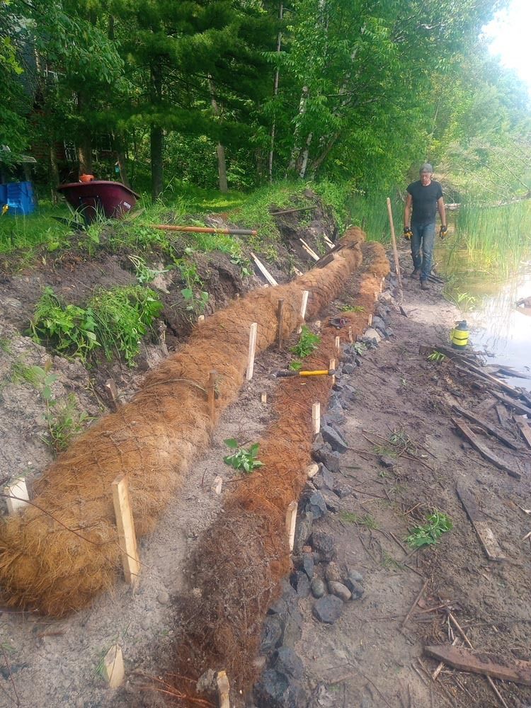 Workers digging a long trench beside a wooded dirt road, with white markers along the edge.