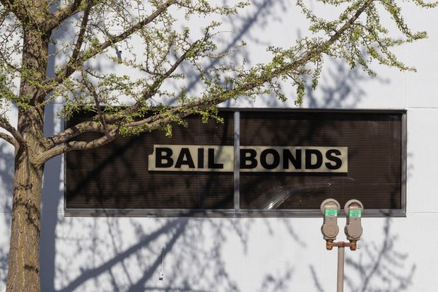 Bail bonds sign on a building, with tree branches and a parking meter in front.