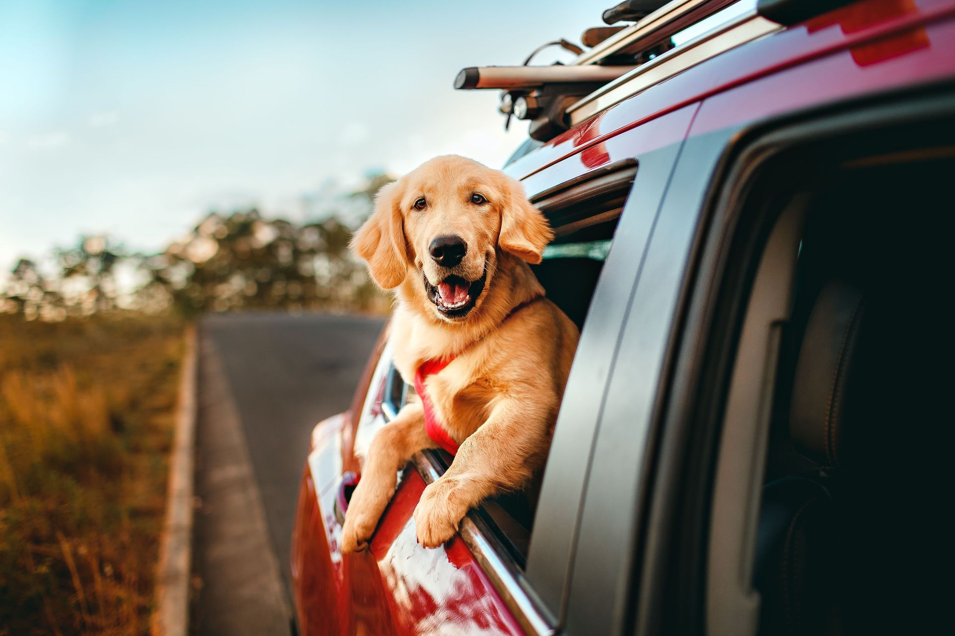 happy car