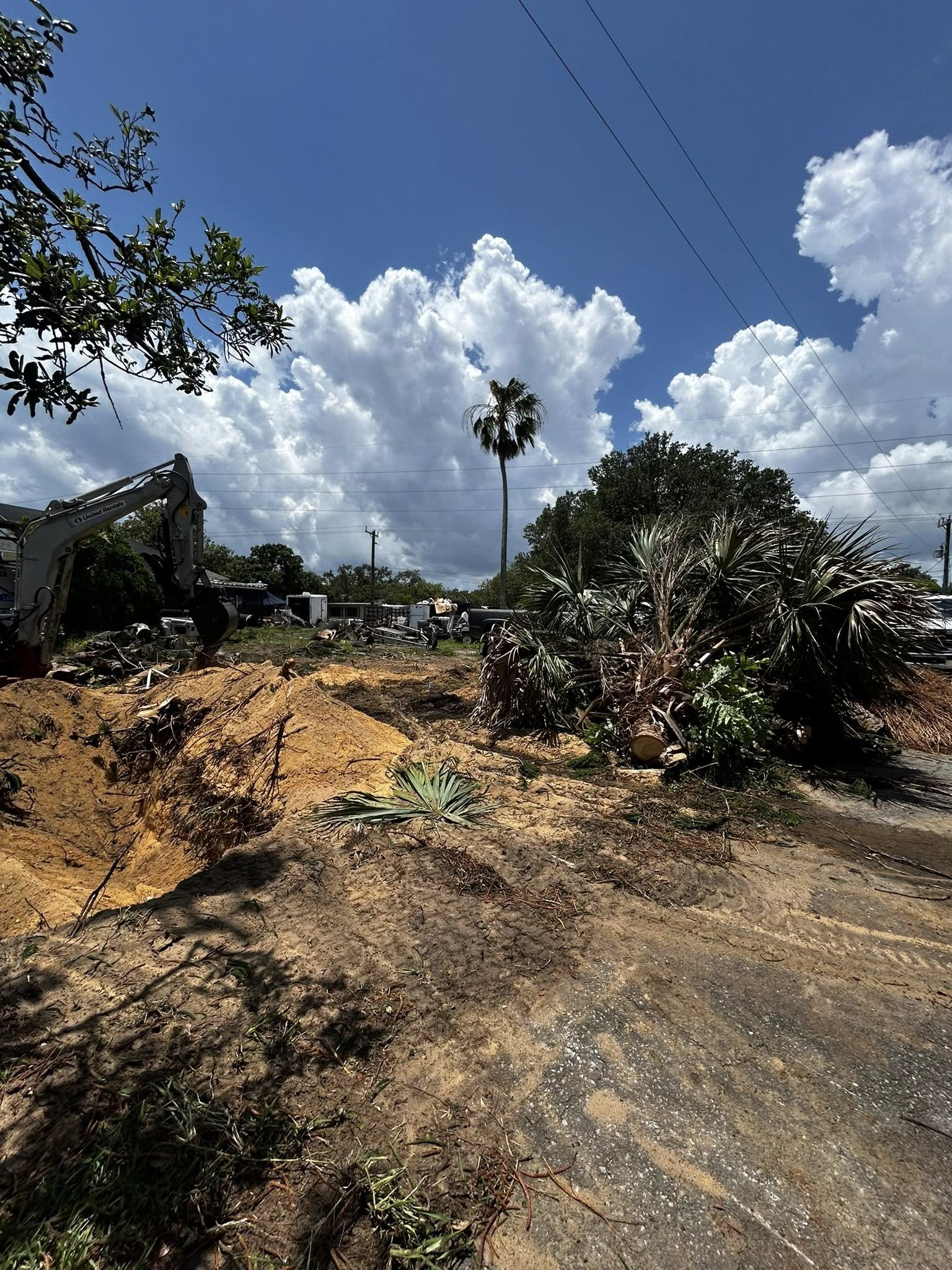 Dirt lot under a bright blue sky with puffy white clouds, a tall palm tree, and scattered debris.