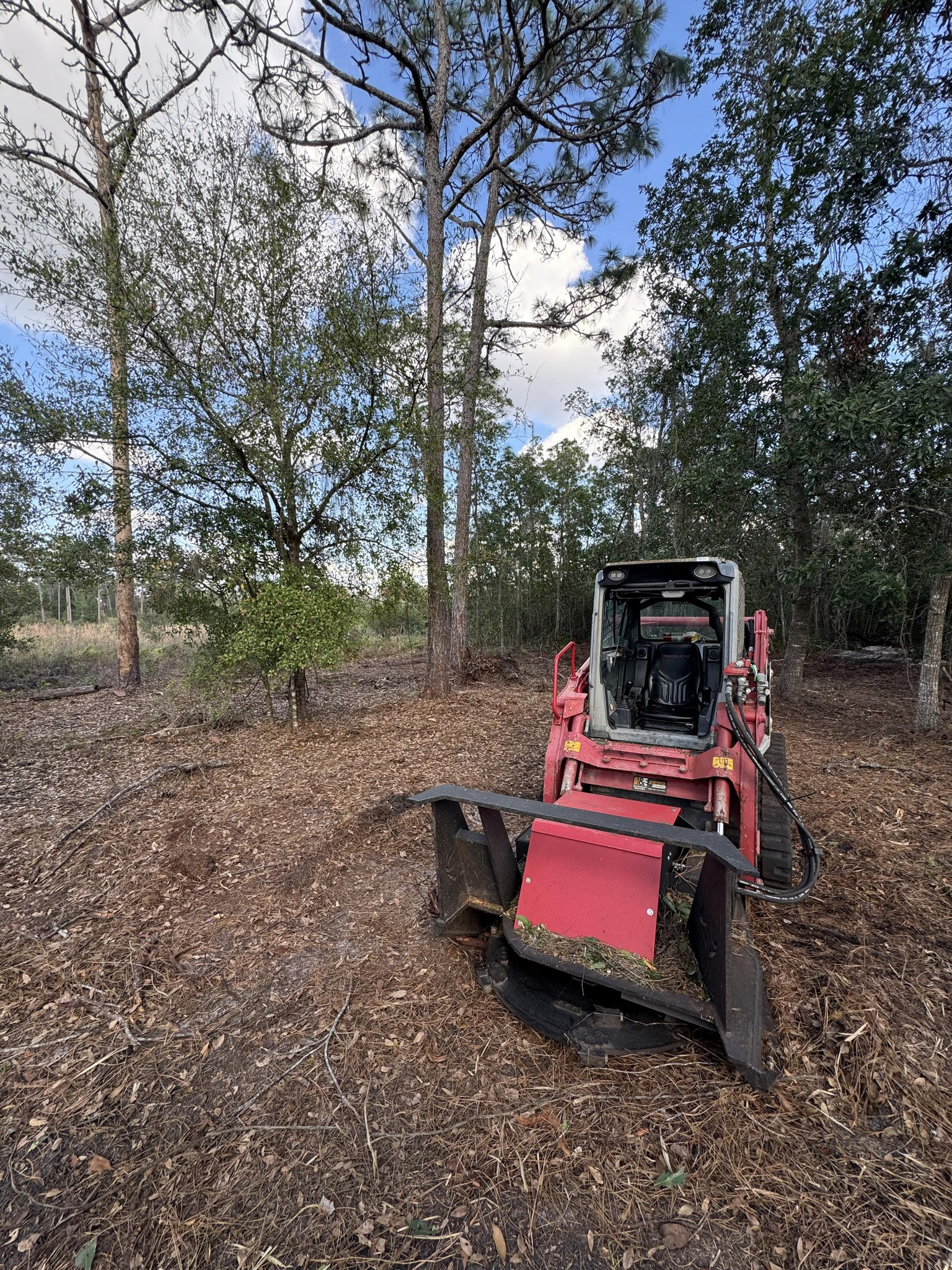 A red skid steer with a mulching head is in a wooded area, surrounded by leaves.