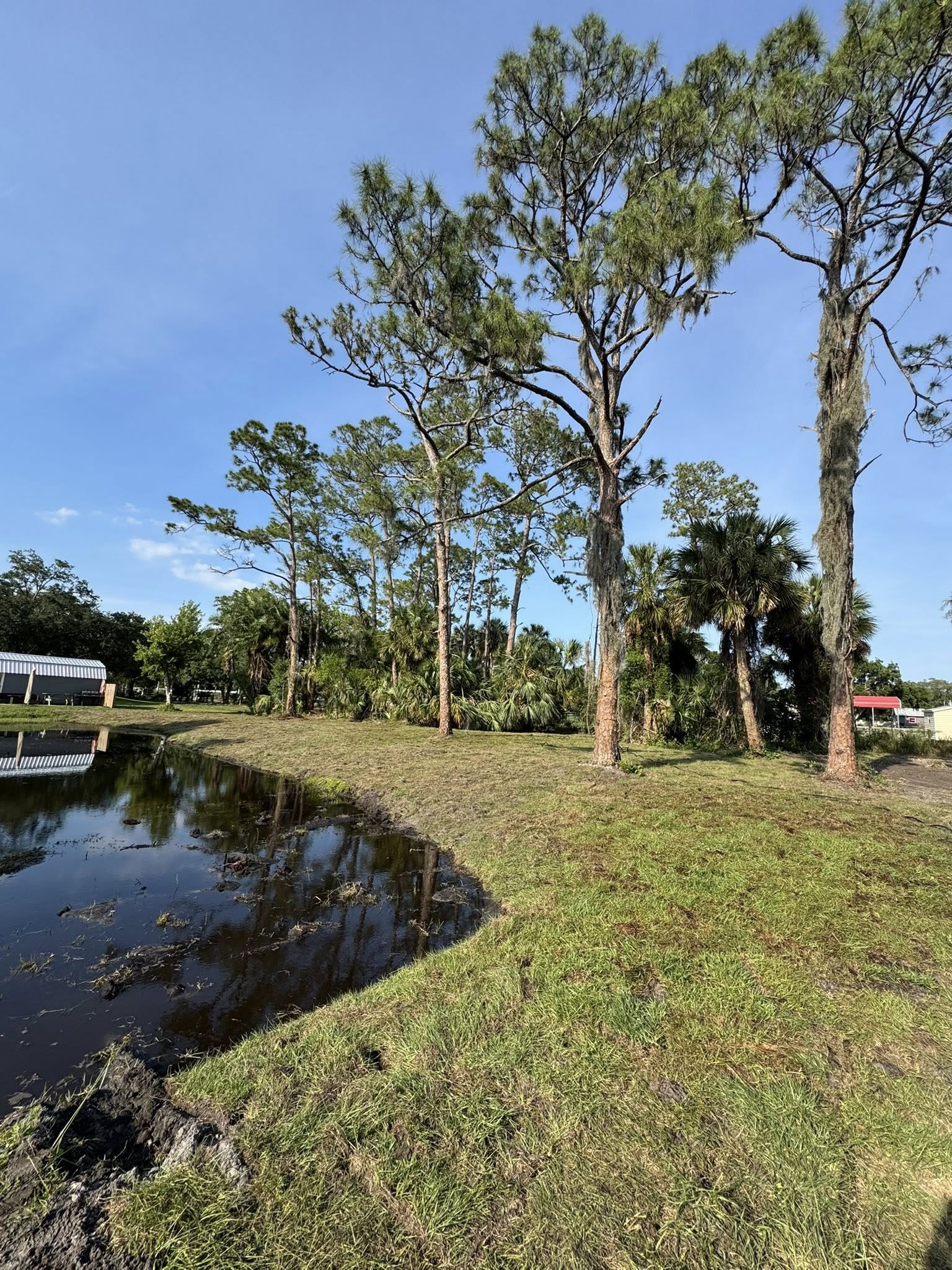 Pond with grassy banks and trees under a blue sky, near buildings.