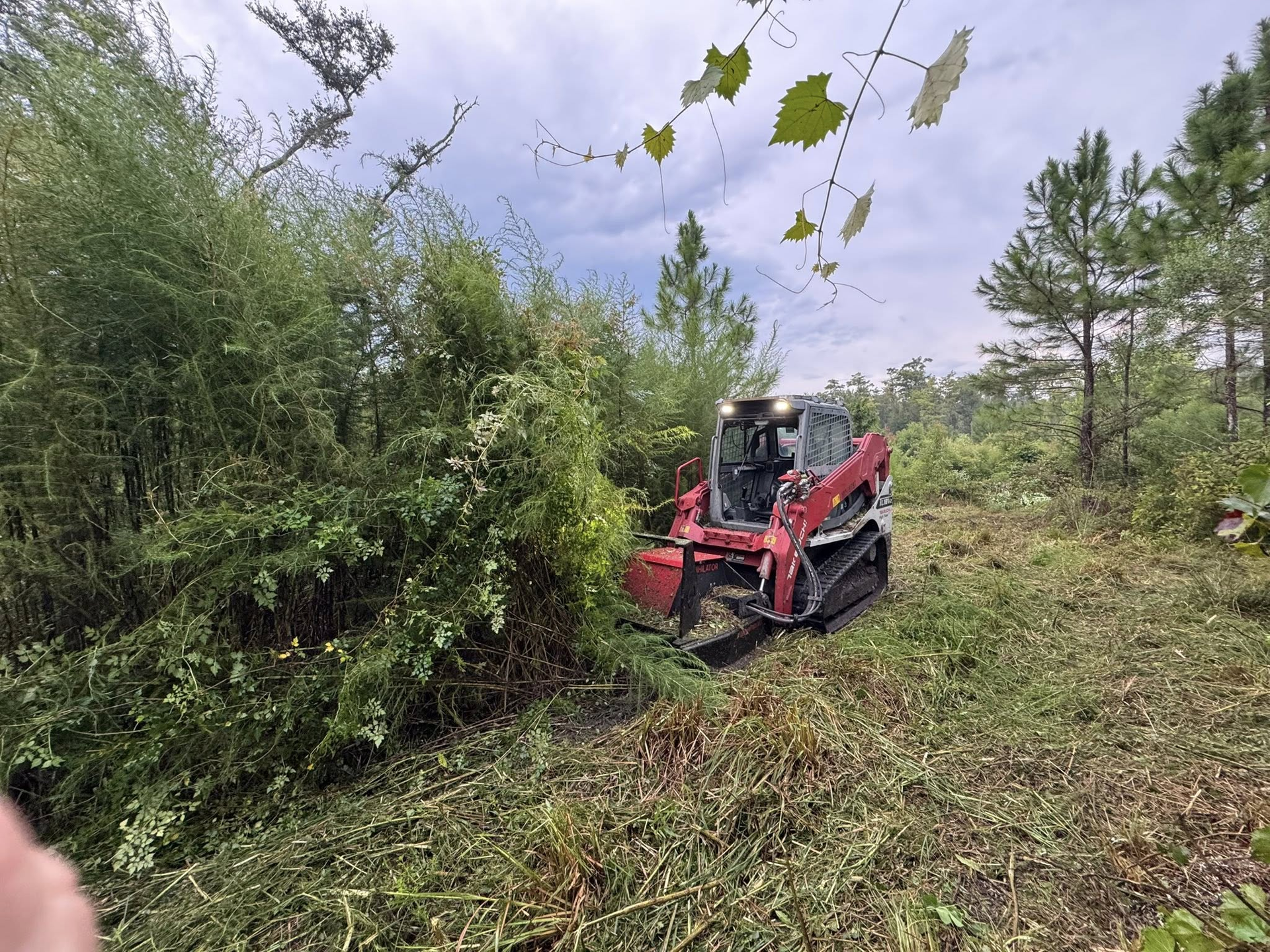 Red skid steer clearing brush in a wooded area, with green foliage and overcast sky.