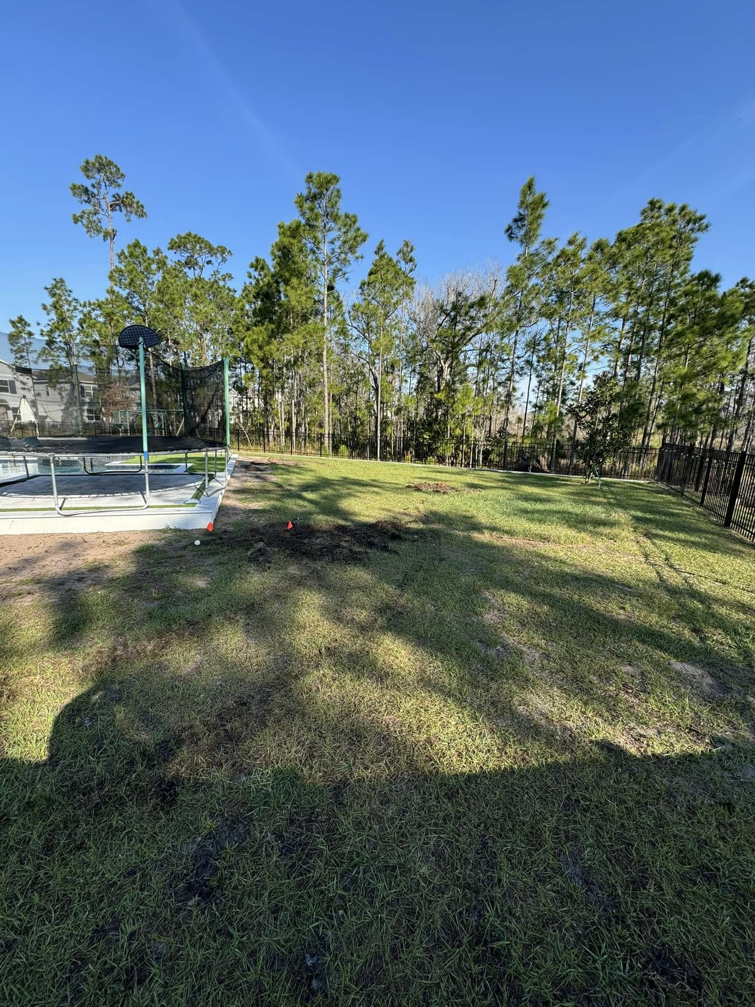 Grassy backyard with trees in the background, blue sky, and a glimpse of a pool.