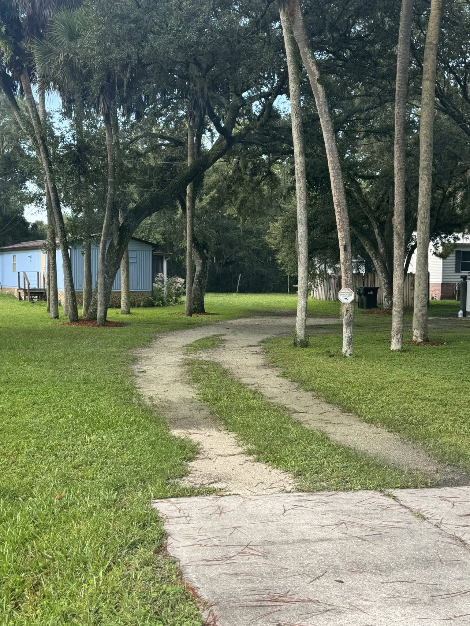 Dirt driveway through green lawn, leading to a blue building, with tall, white-trunked trees.