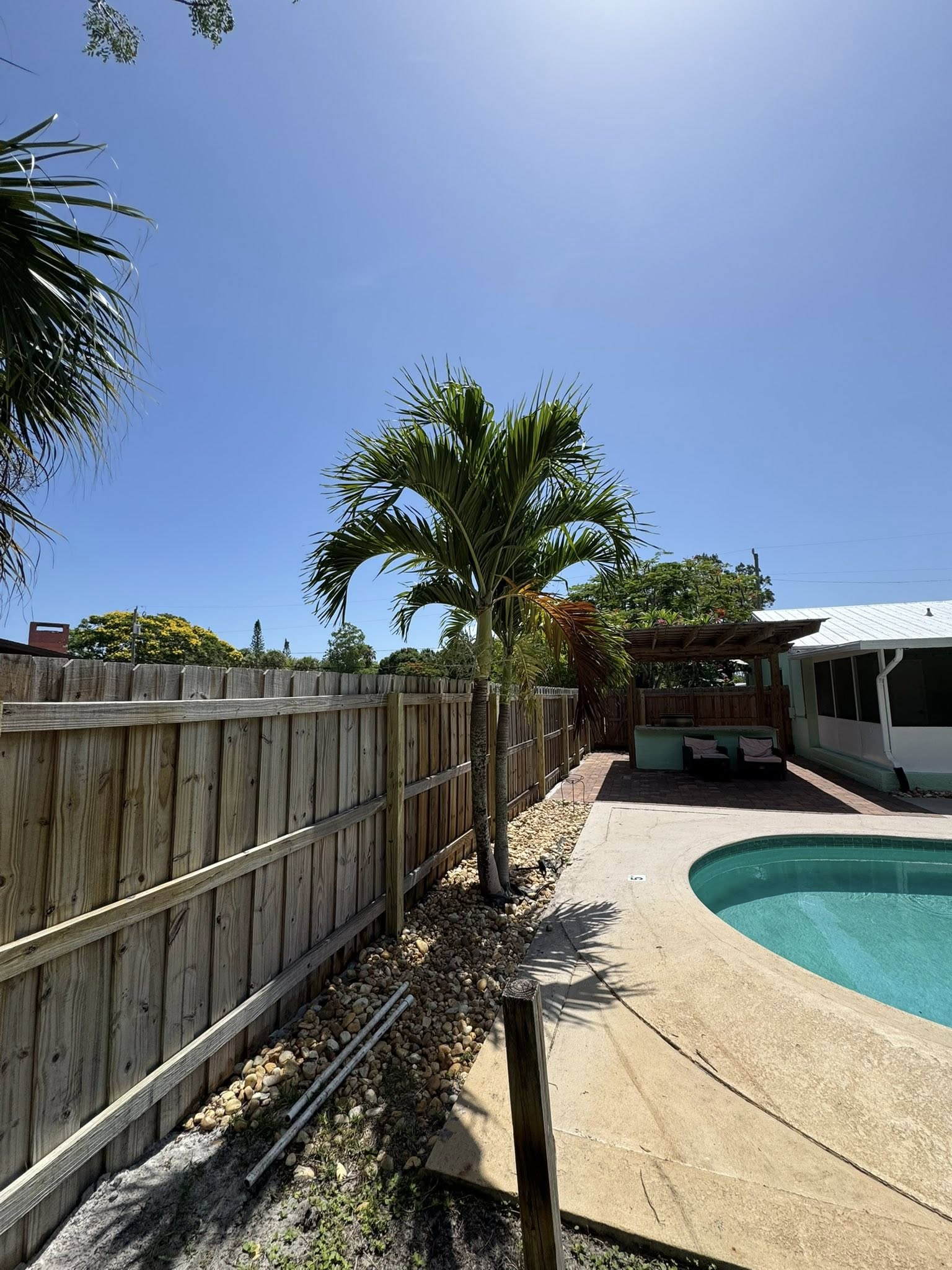 Wooden fence beside a palm tree, path to a pool on a sunny day.