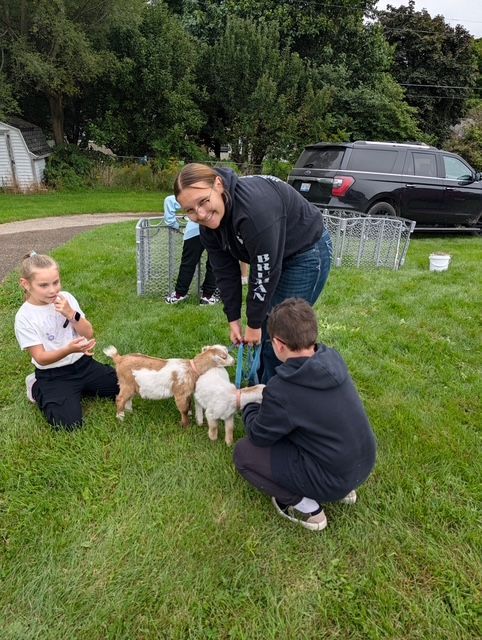 Students petting baby goats