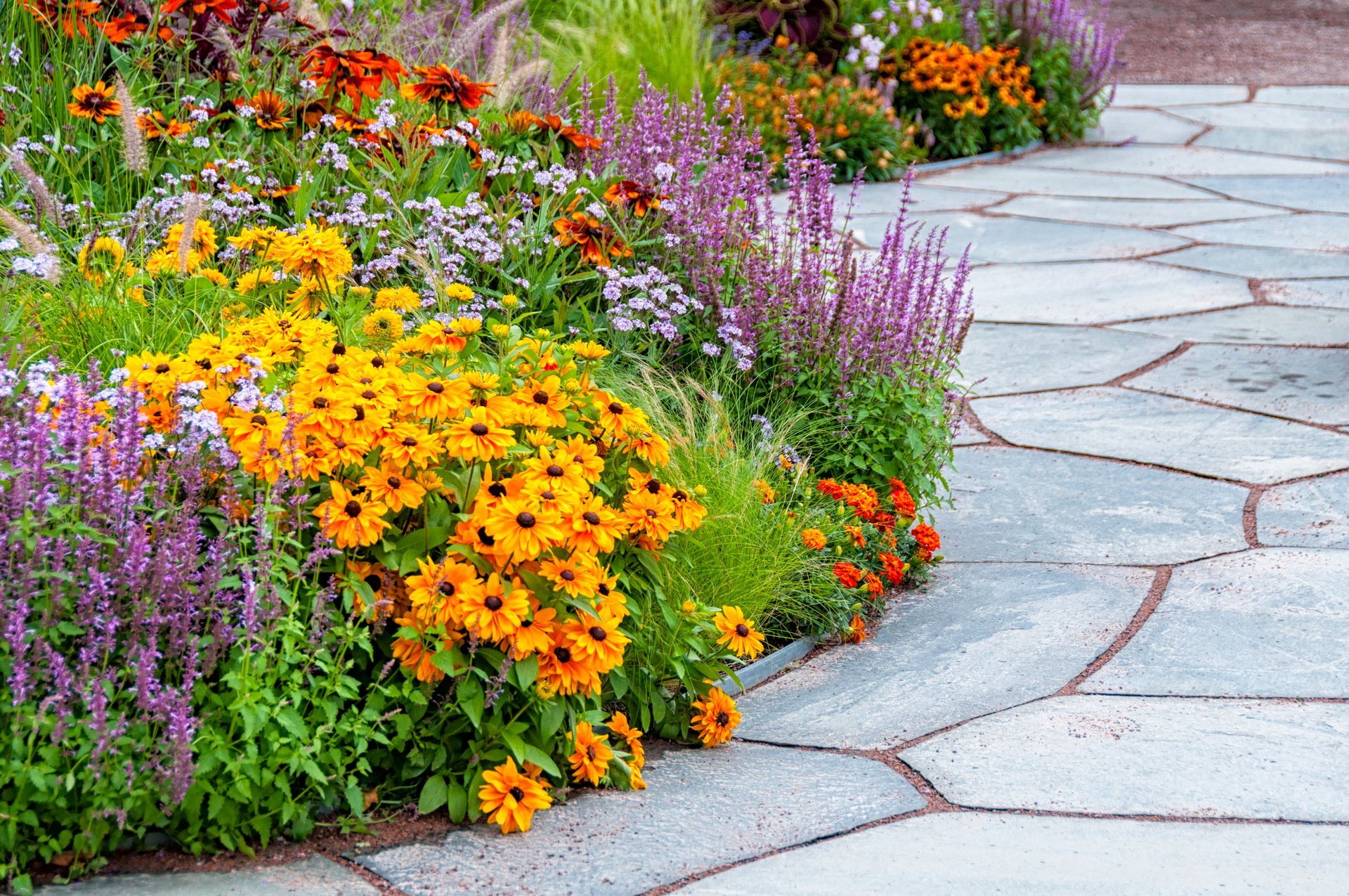 There are many different types of flowers in this garden.
