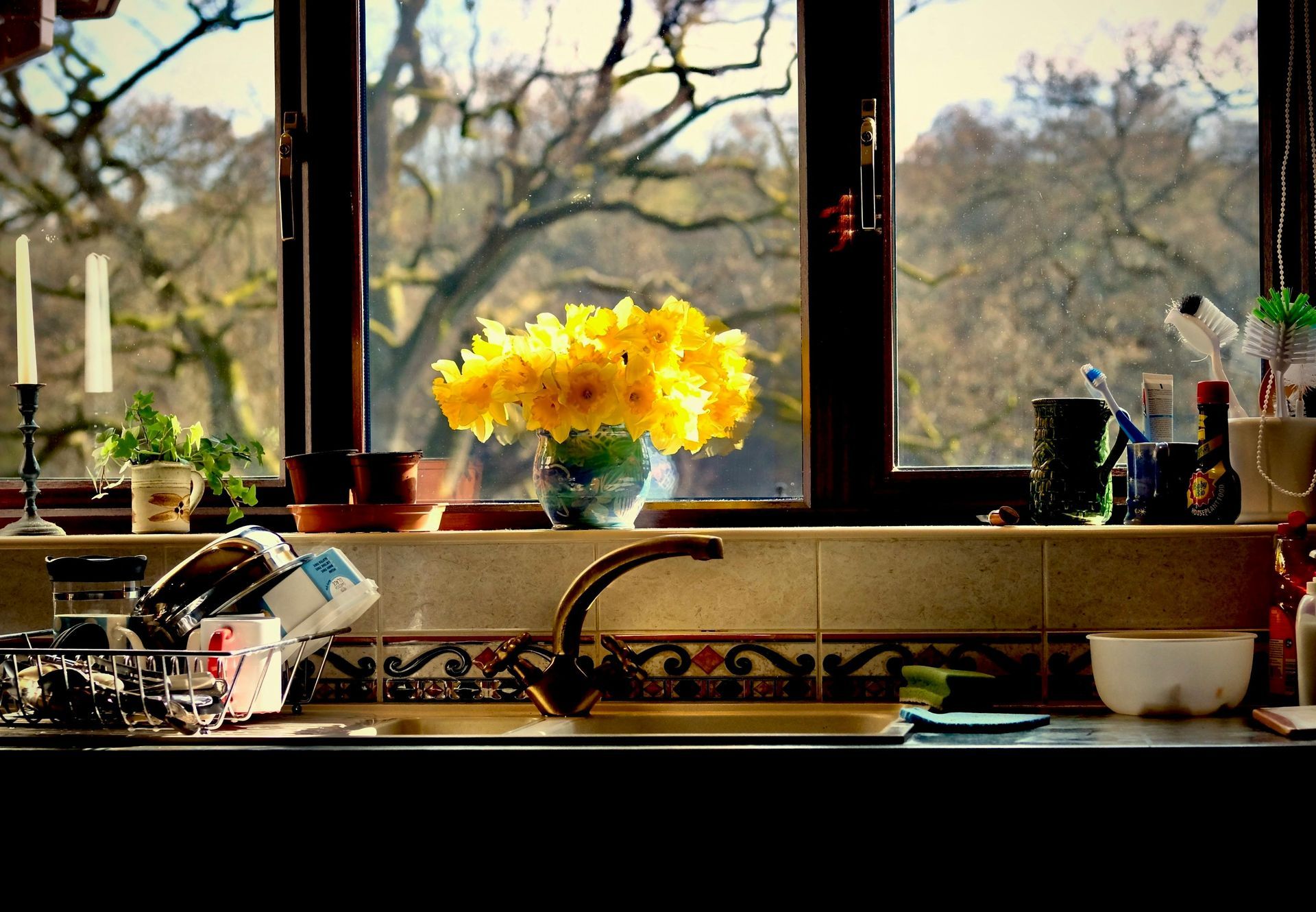 Sunlit kitchen sink with yellow flowers on the windowsill and trees visible outside