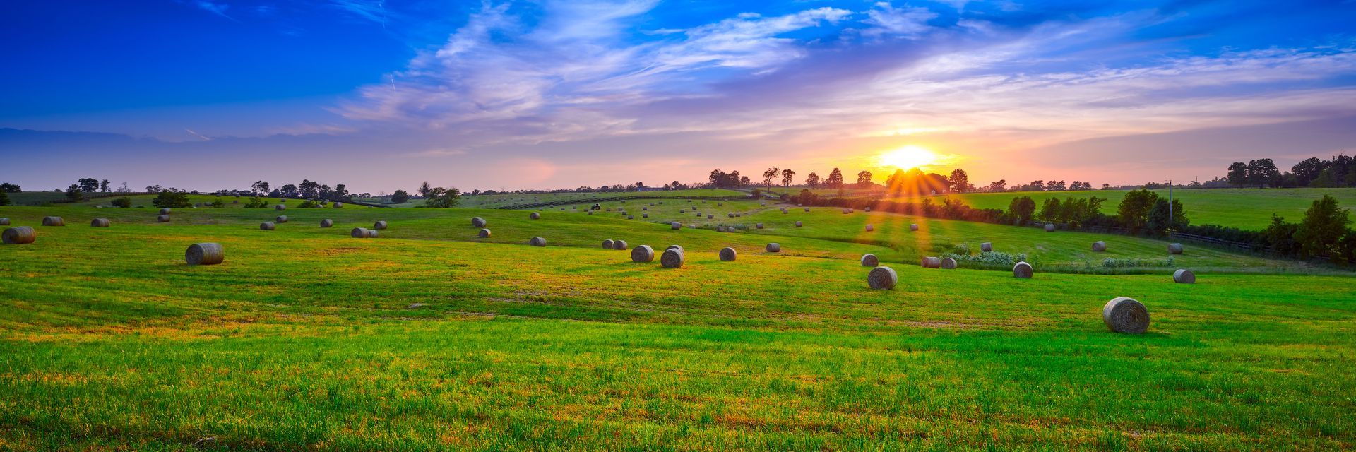 Sunset over a green field with hay bales and a vivid blue sky