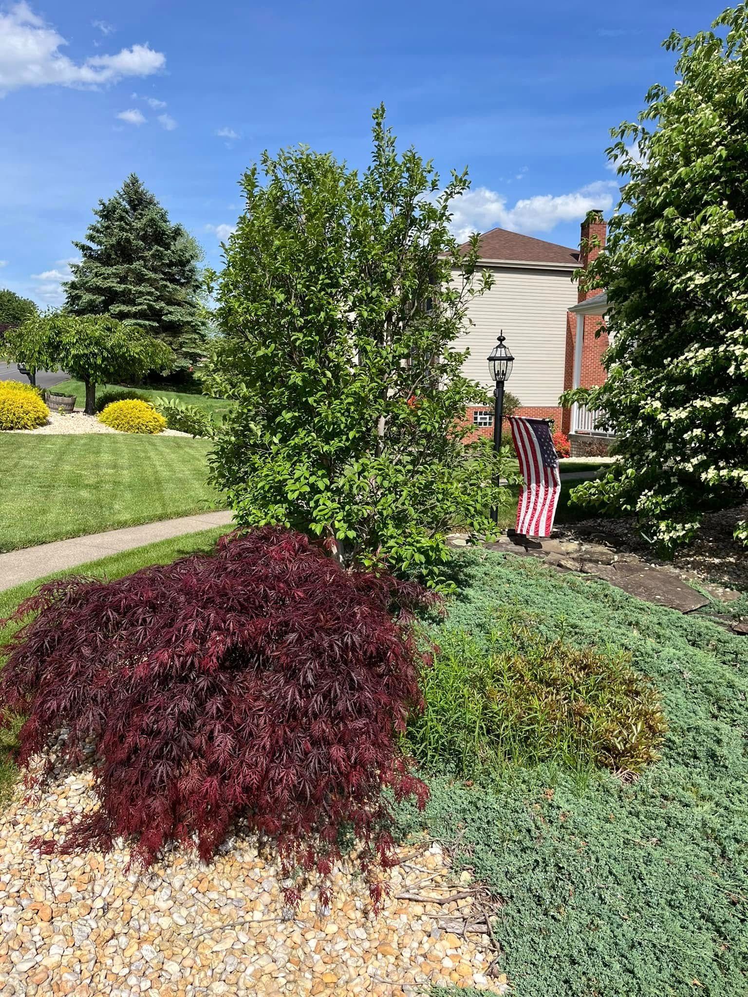 A garden with a flag in the middle of it and a house in the background.