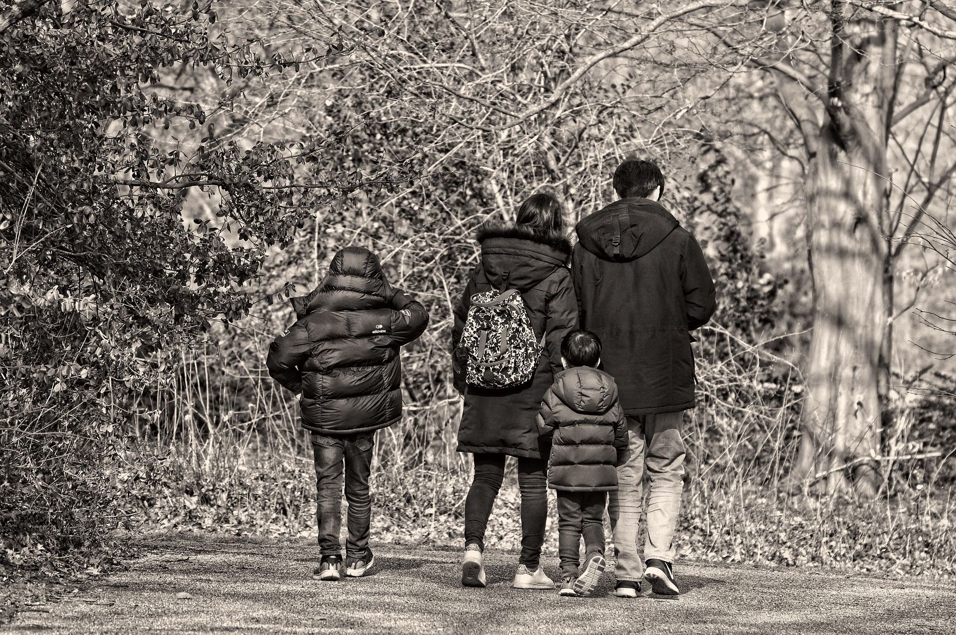 Four people walking along a wooded path in autumn, seen from behind