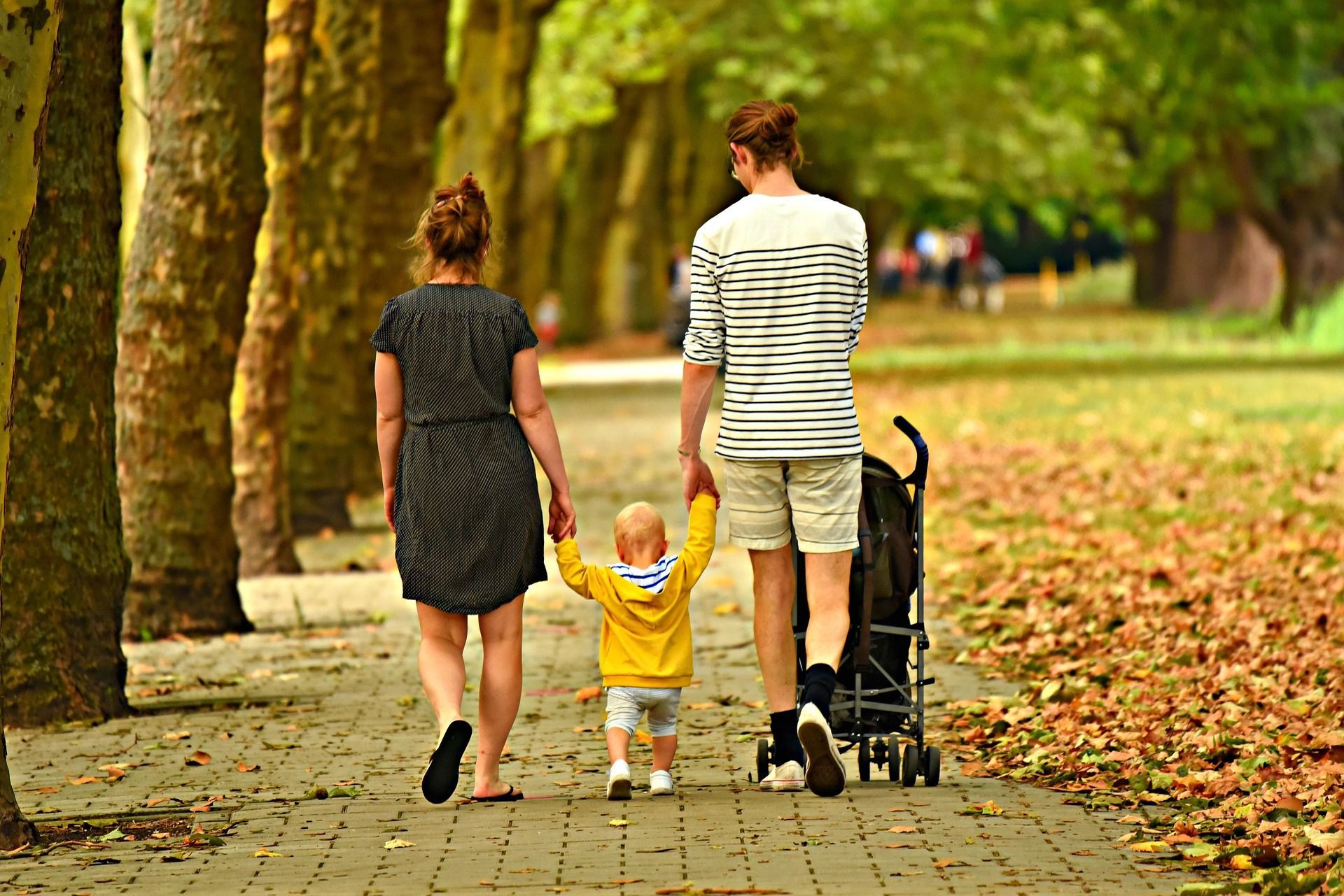 Family walking with stroller and toddler on a tree-lined park path in autumn