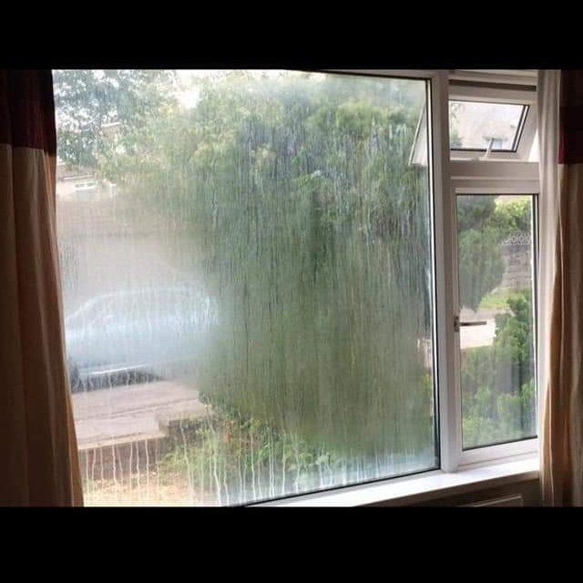 misted glass window