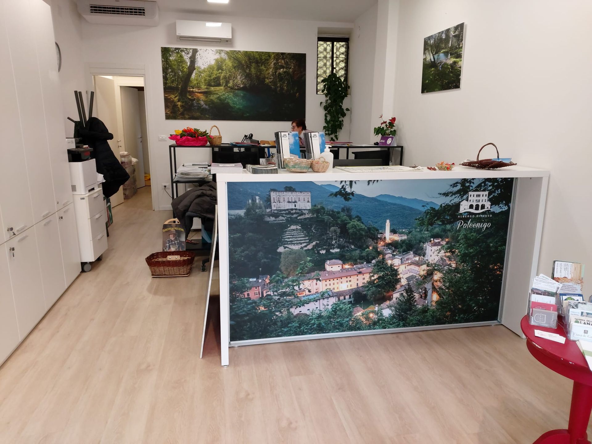 Luminoso ufficio o studio con scrivania bianca, quadro paesaggistico sulla parete frontale, pavimento in legno e piante sugli scaffali.