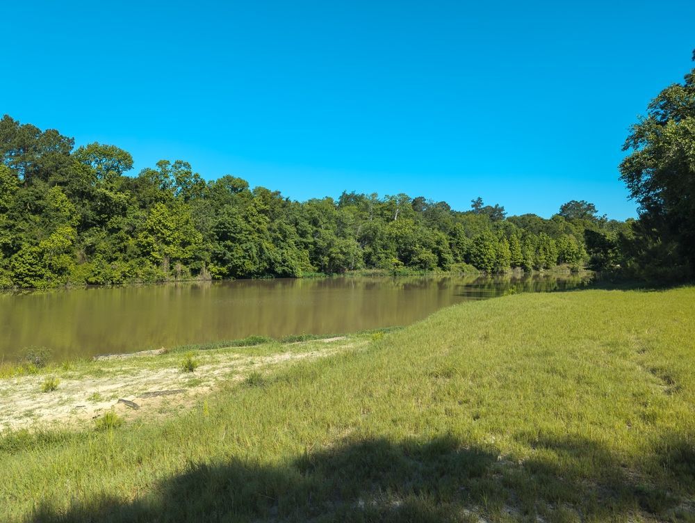 Calm muddy river beside a grassy bank and dense green trees under a bright blue sky