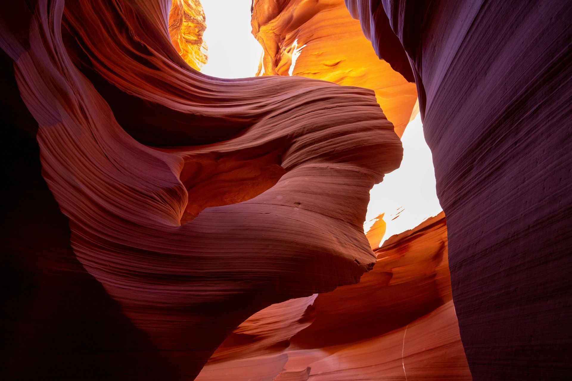 Arizona businesses affected by new exemption