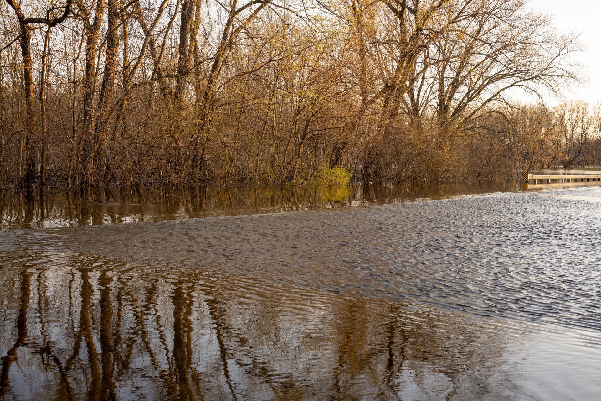 Flooded woodland with bare trees reflected in calm water under a gray sky