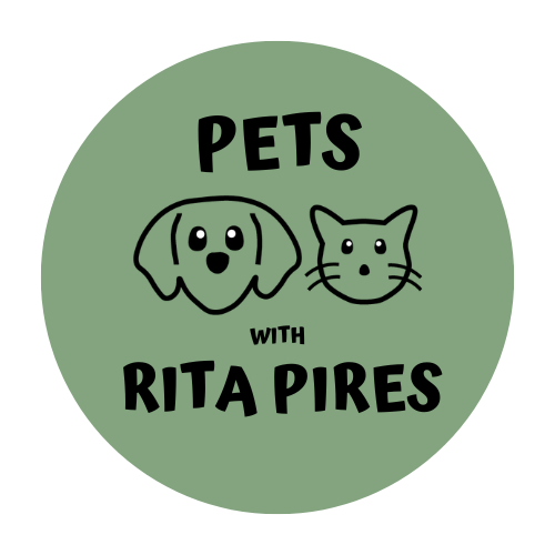 Pets with Rita Pires, serviços de pet sitting e dog walking na margem sul do Tejo