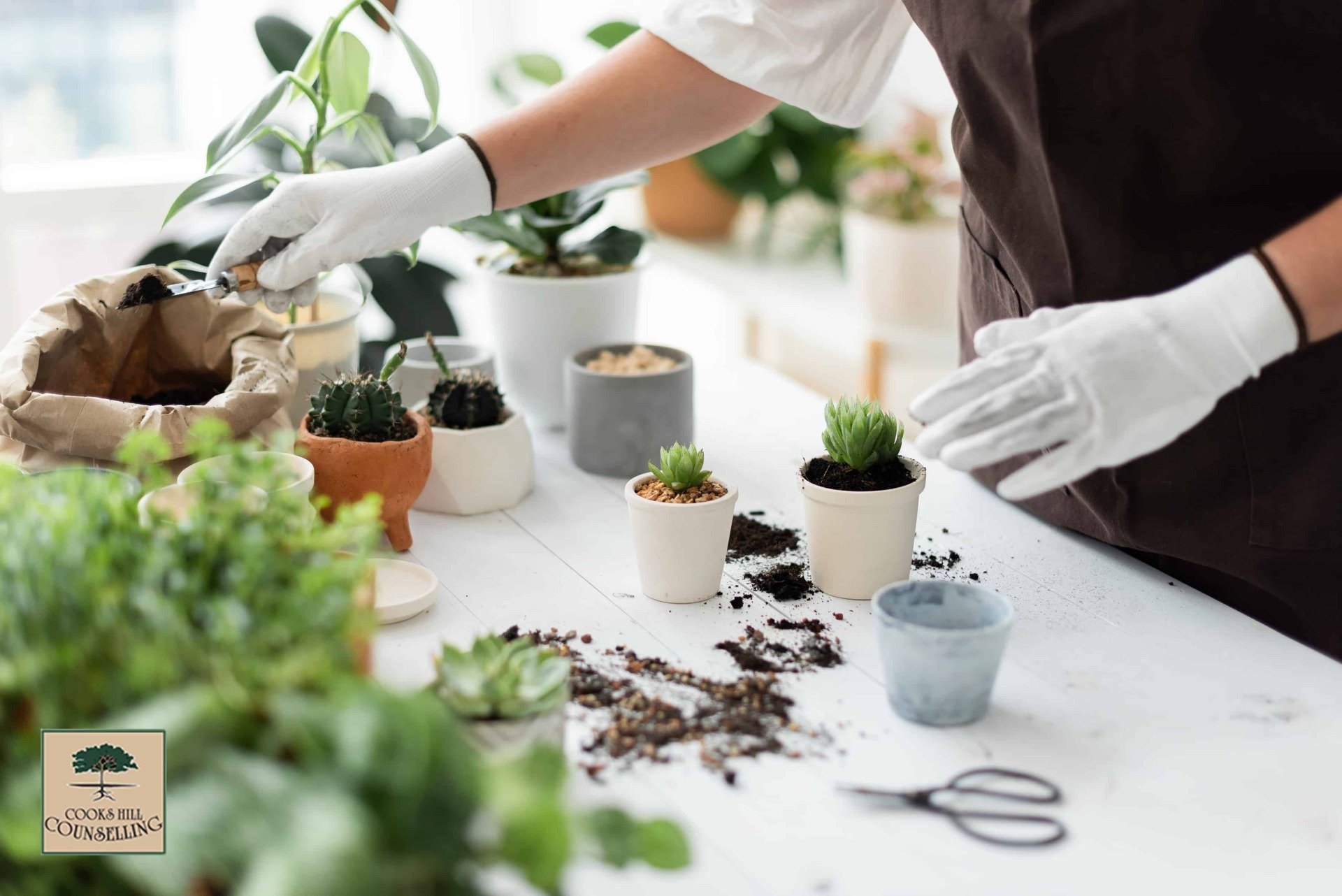 Empty Nesters: Embrace Your New Life - Cooks Hill Counselling