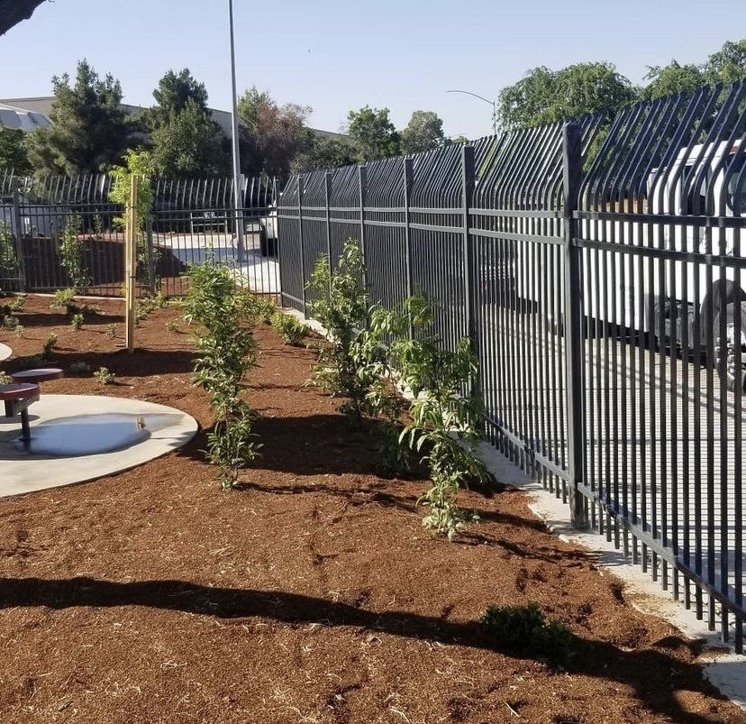 Fencing Services