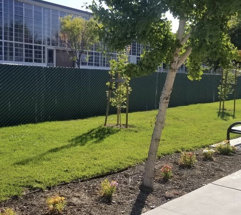 Fencing Services