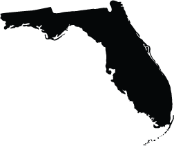 Black silhouette map of Florida on a white background