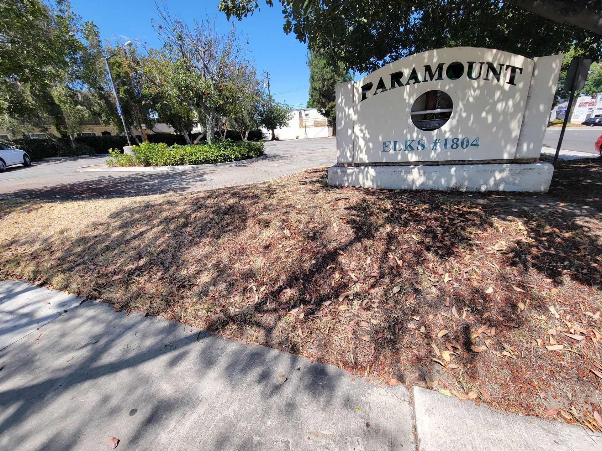 before installing artificial grass in Paramount