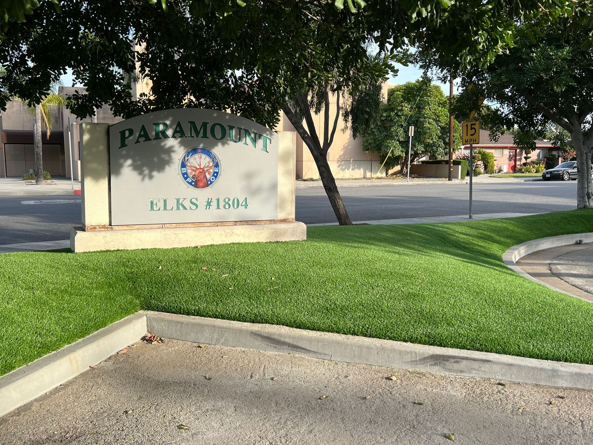 after installing artificial grass Paramount