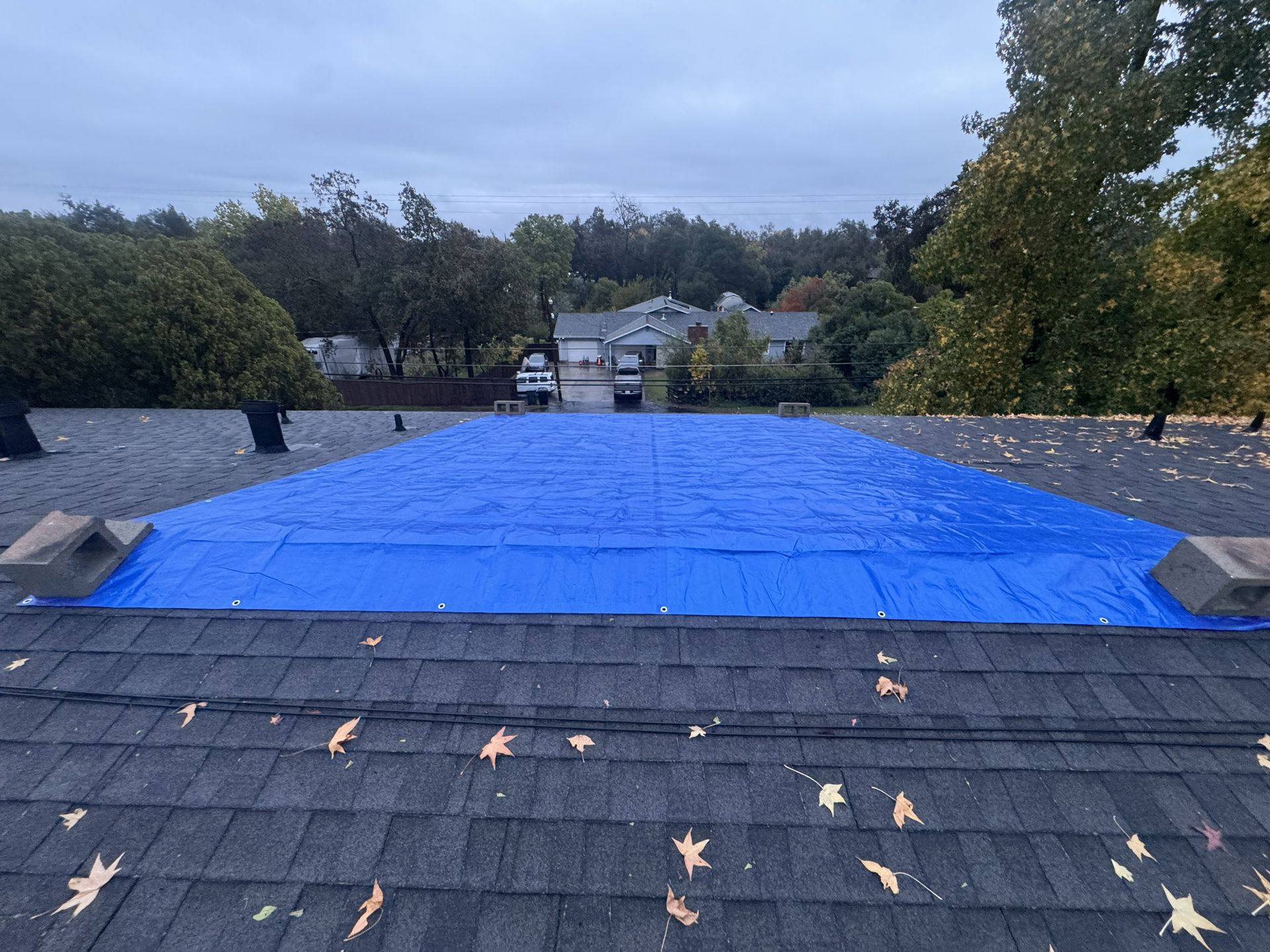 Blue tarp covering a roof, with trees and a lake in the background under a cloudy sky