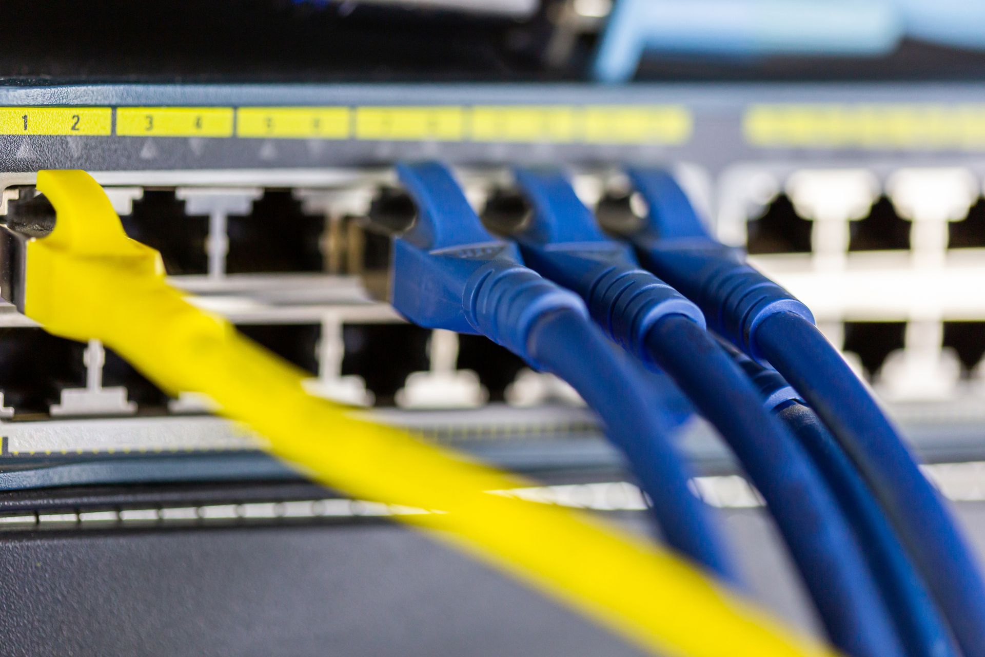 Blue and yellow Ethernet cables plugged into a network switch ports