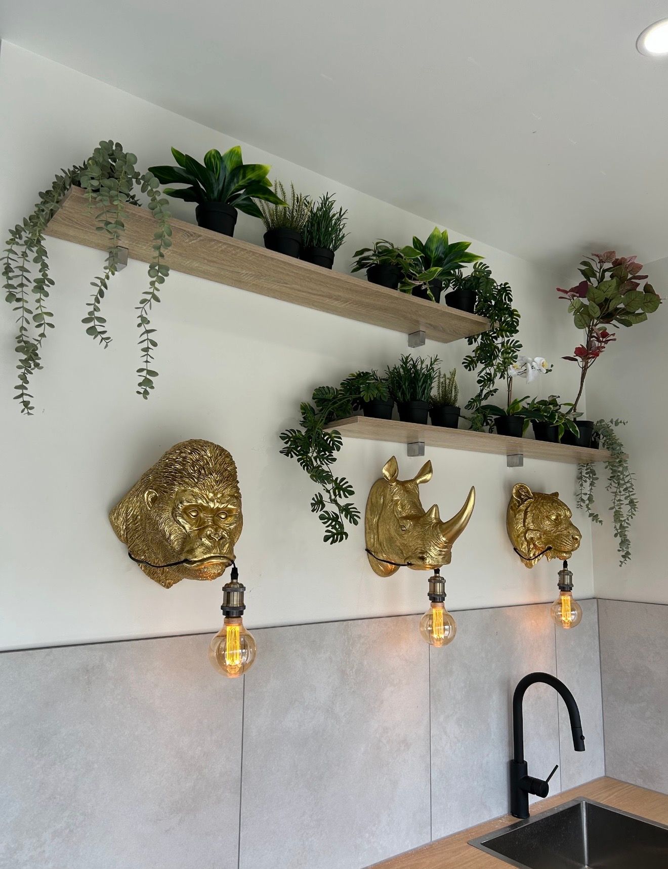 Kitchen wall with wooden shelves, hanging plants, gold decor, and a black faucet above a sink.