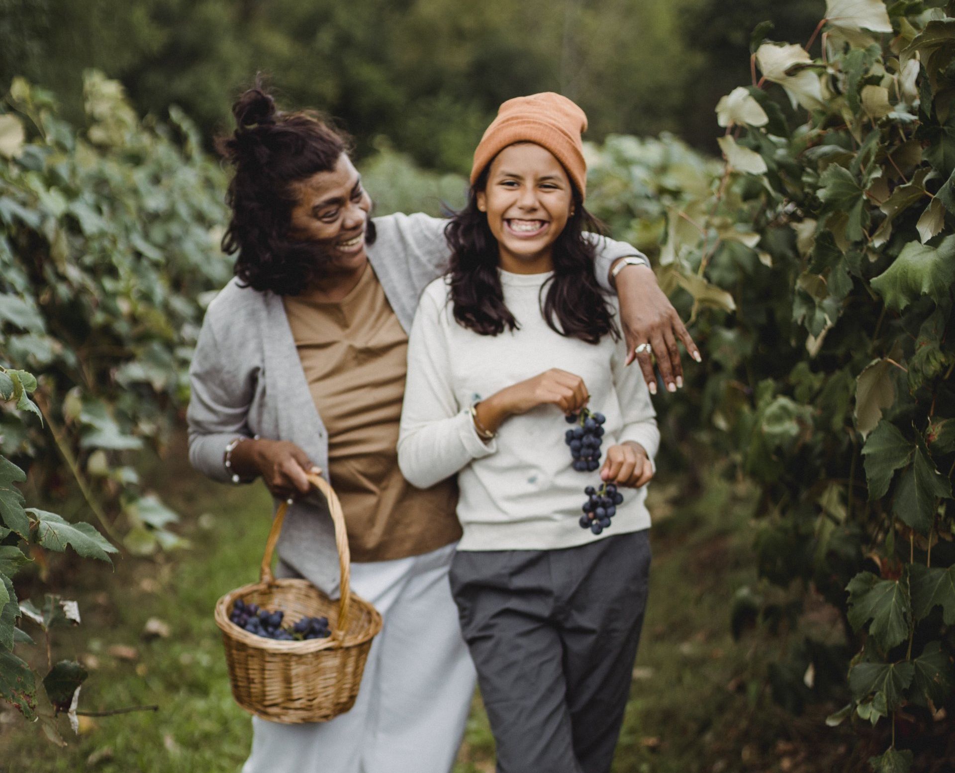 Two women are walking through a vineyard holding baskets of grapes.