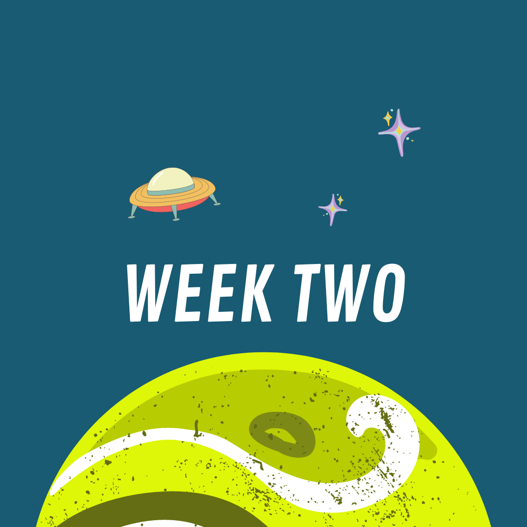 A tennis ball with the words week two on it