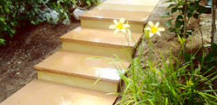 A set of stairs leading up to a house with flowers in the background.